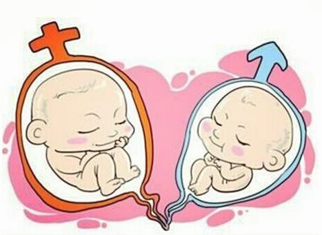 供卵代怀生子代生生男孩